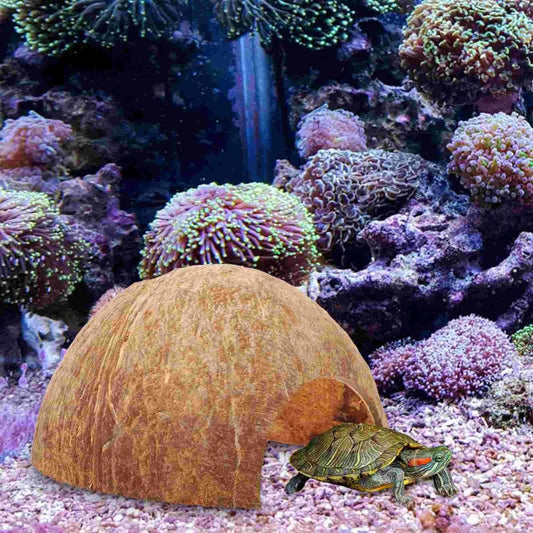 Abri Naturel Noix de Coco | Pour Reptile, Arachnide et Crabe