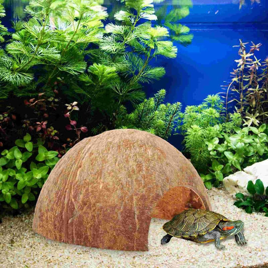 Abri Naturel Noix de Coco | Pour Reptile, Arachnide et Crabe