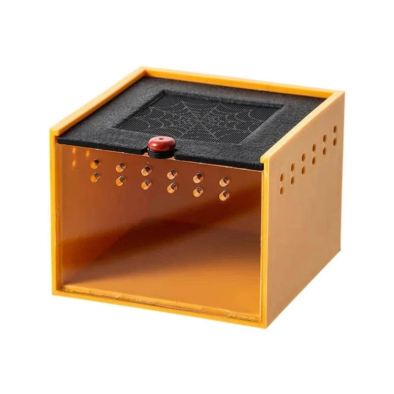 Orange Boîte à araignée pour animaux de compagnie, Reptile rampant, lézard, ver à soie, bébé Scorpion, licorne, coccinelle, insecte, boîte noire en acrylique