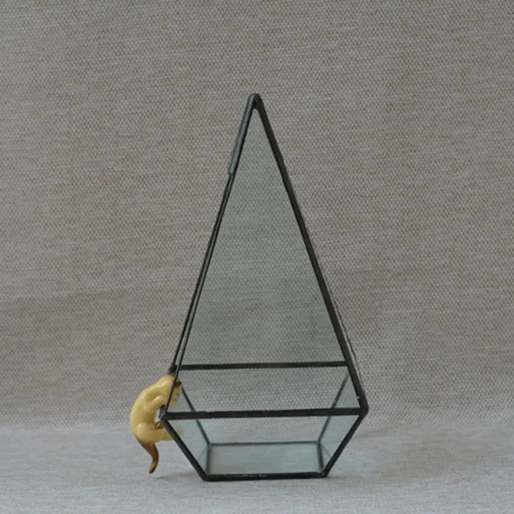 Boîte terrarium géométrique en verre transparent Dakota ide, jardinière succulente, support d'art de jardin à la maison, noir, 12x12x24cm