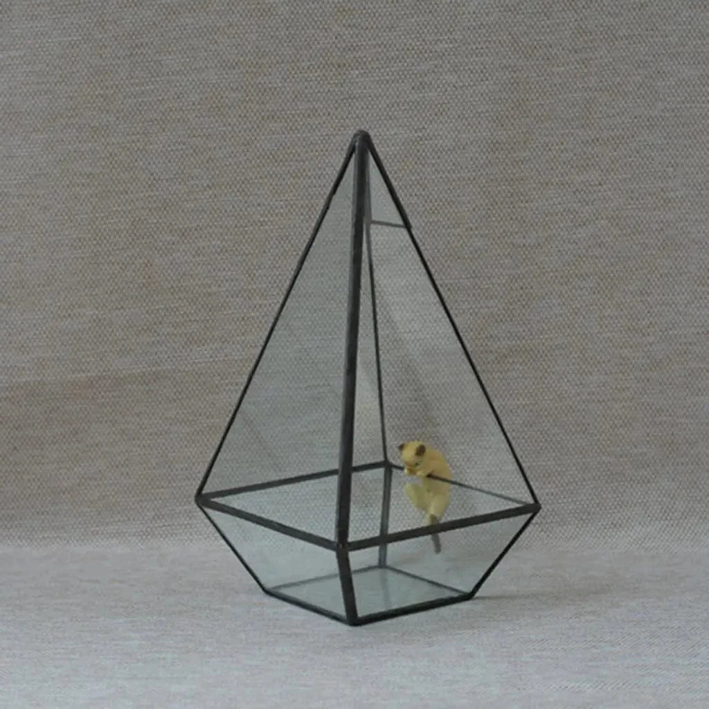 Boîte terrarium géométrique en verre transparent Dakota ide, jardinière succulente, support d'art de jardin à la maison, noir, 12x12x24cm