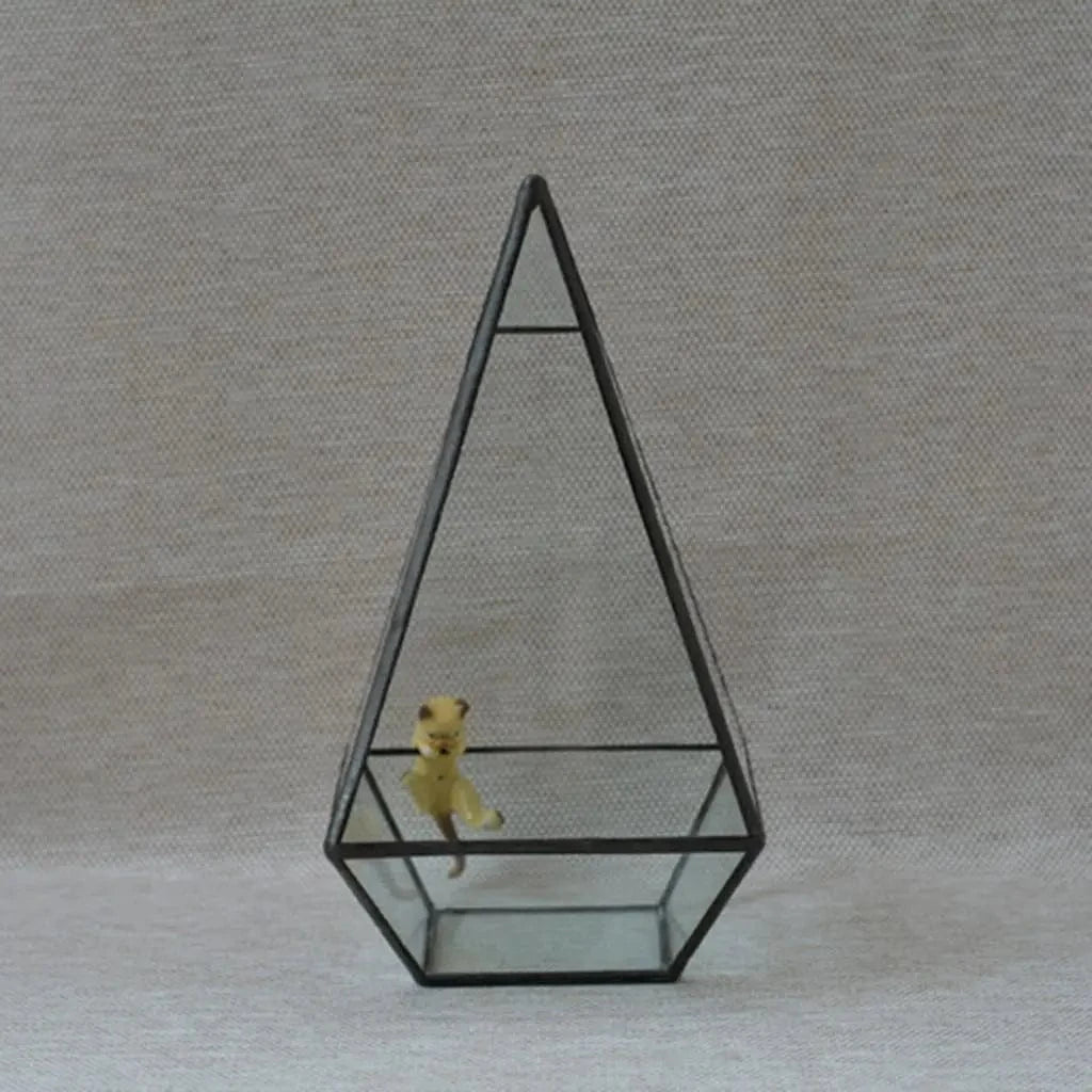 Boîte terrarium géométrique en verre transparent Dakota ide, jardinière succulente, support d'art de jardin à la maison, noir, 12x12x24cm