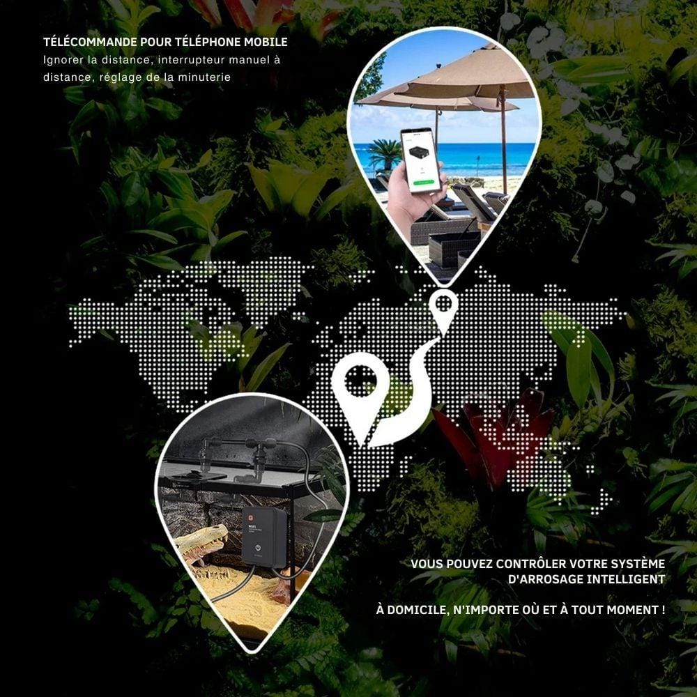 Brumisateur WiFi silencieux | Pour terrarium tropical