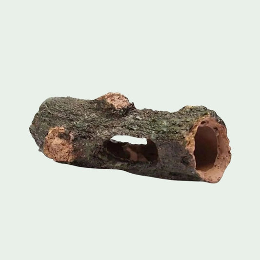 Cachette en Résine | pour Petits Reptiles et Insectes
