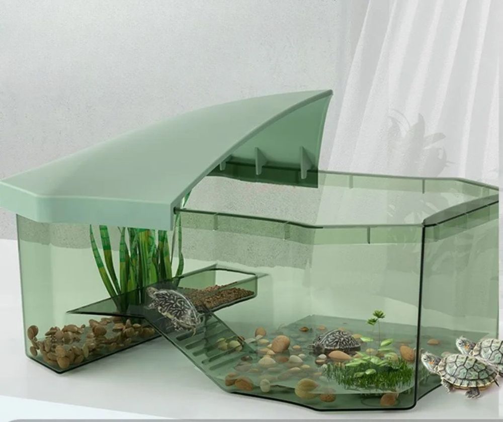 Terrarium Tortue | Enclos Vert avec Zone de Repos