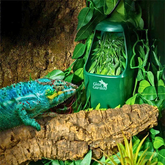 Fontaine à Eau Automatique | 800ml Double Filtration