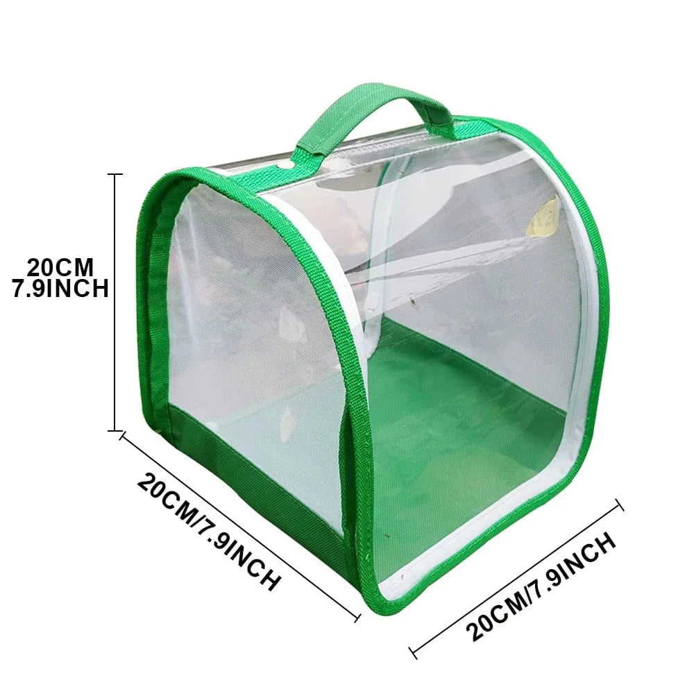 green Habitat d'araignée sautante en plastique transparent, pliable, léger et pratique, boîte d'élevage d'araignées, petite Cage à insectes, Cage à papillons