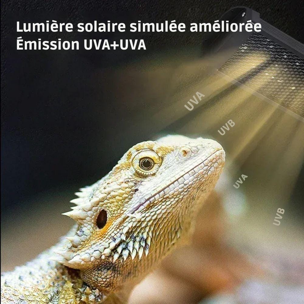 Lampe UVB/UVA 20.0 plate Lampe UVB/UVA 20.0 plate | Pour reptiles à fort UVB/UVA