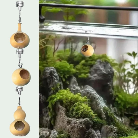 Maison d'Araignée Sautante | Nid Magnétique Terrarium