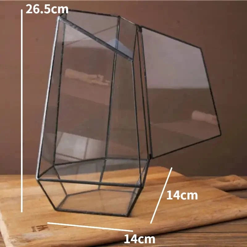 C Micro Landscape Planter Moss Rainforest Tank Geometric Glass Flower Room Irregular Ecological Vase Succulent Water Plant Vase