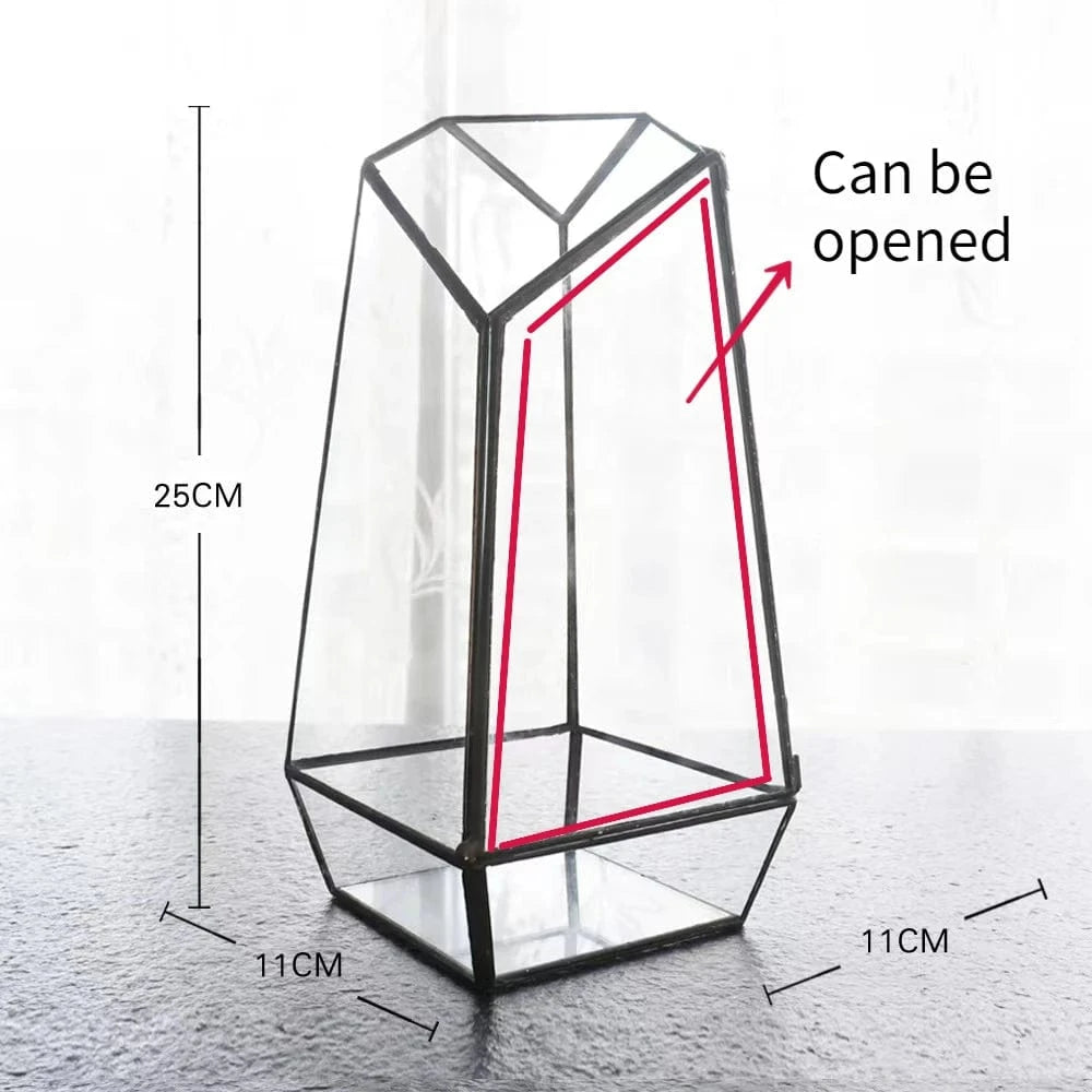 D Micro Landscape Planter Moss Rainforest Tank Geometric Glass Flower Room Irregular Ecological Vase Succulent Water Plant Vase