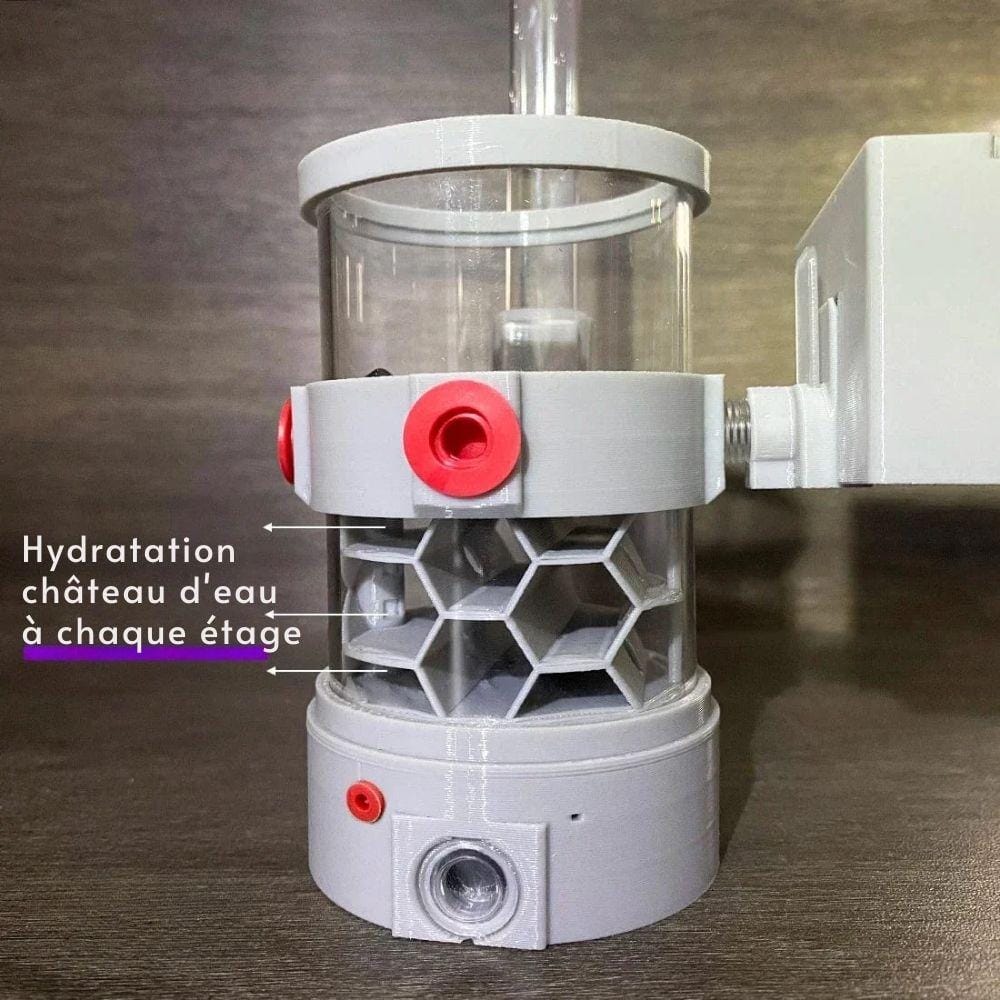 Nid de fourmis 360° nid d’abeille | Pour élevage