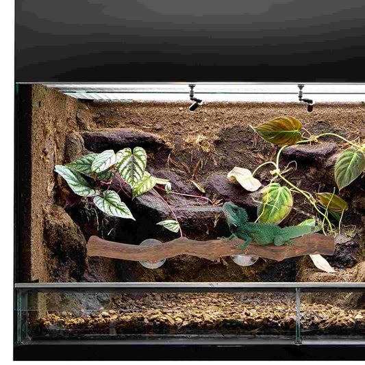 Perchoir d’Escalade en Bois | Pour Reptile, avec Ventouse