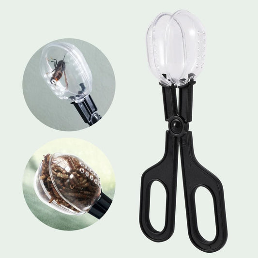 Pince Attrape-Insectes | Capture, Alimentation, Observation