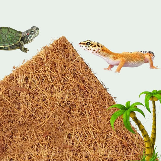 Tapis Substrat Terrarium | Fibre de Coco 60x40 cm