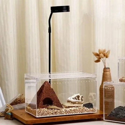 Terrarium Acrylique | Habitat Reptiles, Insectes, Arachnides