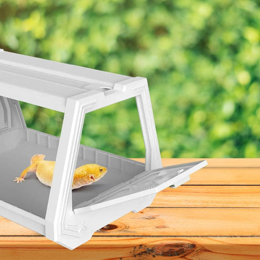 Terrarium Compact | Blanc pour Gecko, Scorpion et Insecte