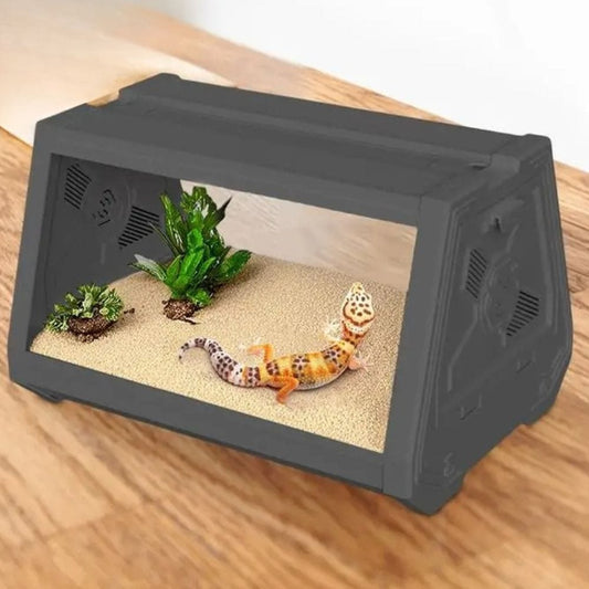 Terrarium Compact | Gris pour Gecko, Scorpion et Insecte
