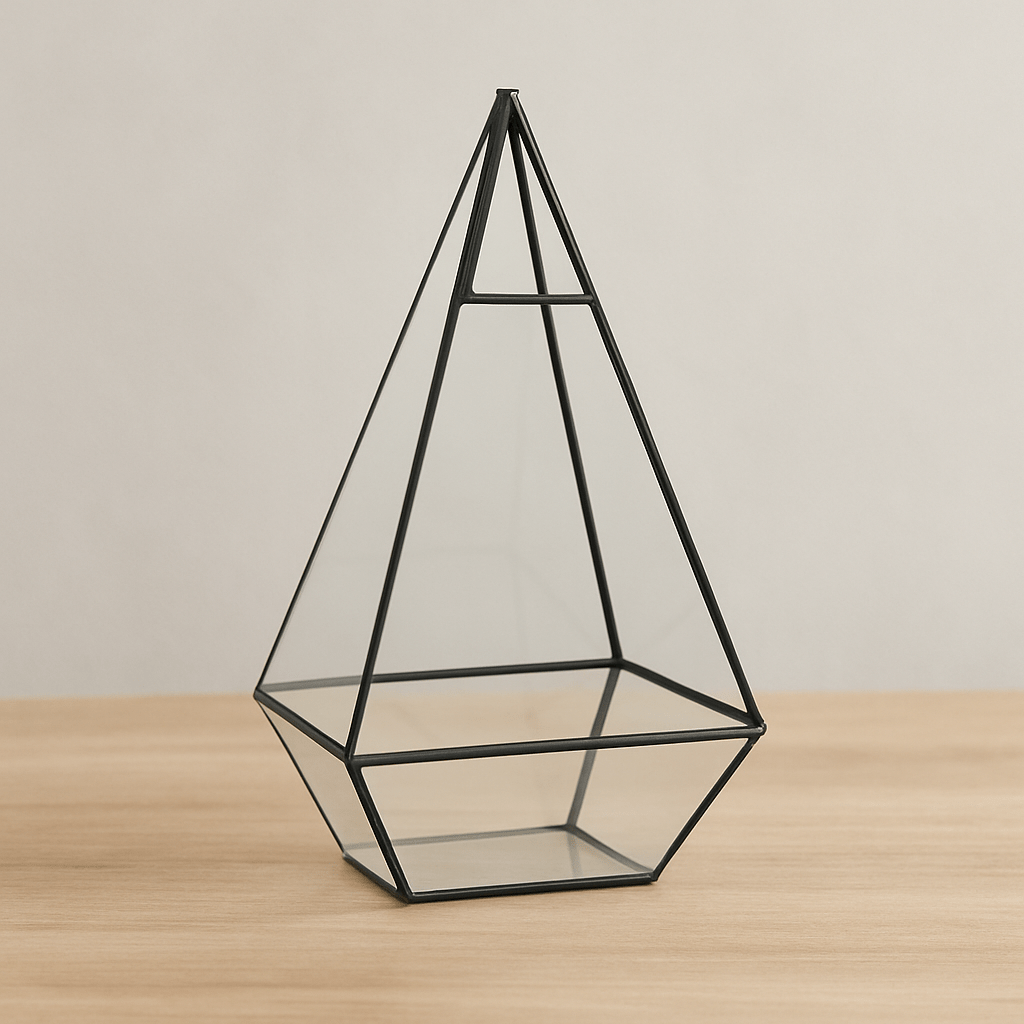 Terrarium Plante | Forme Géométrique Moderne