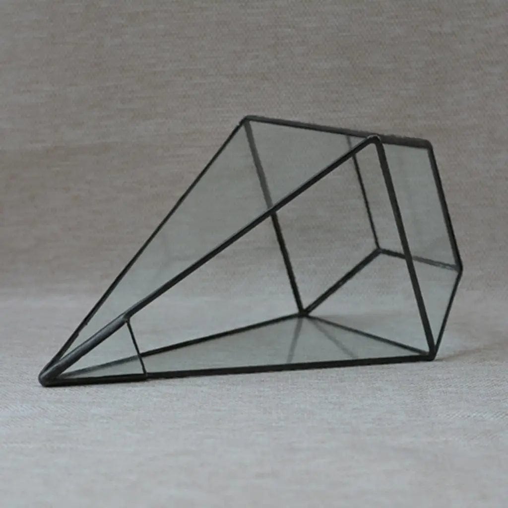 Terrarium Plante | Forme Géométrique Moderne