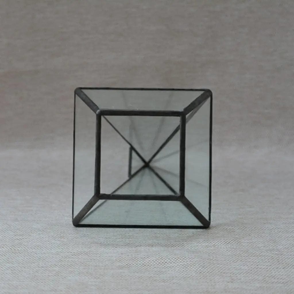 Terrarium Plante | Forme Géométrique Moderne