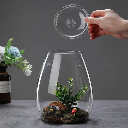 Terrarium Plante | Vase Déco en Verre avec Couvercle