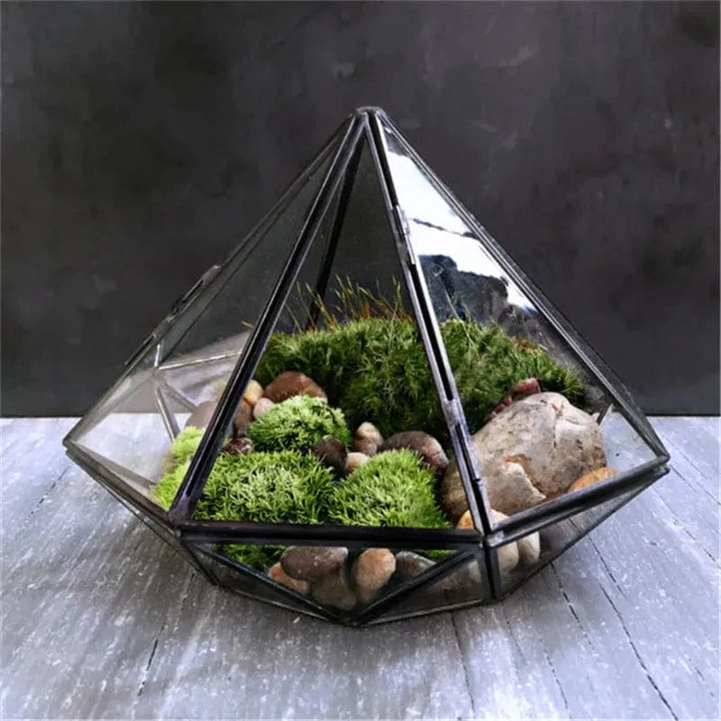 Terrarium Plante | Verrerie Géométrique Design