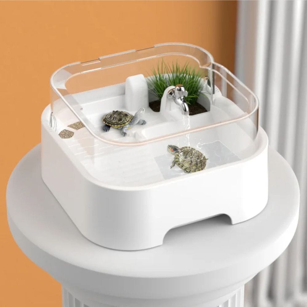 Terrarium Tortue | avec Filtre et Zone de Baignade