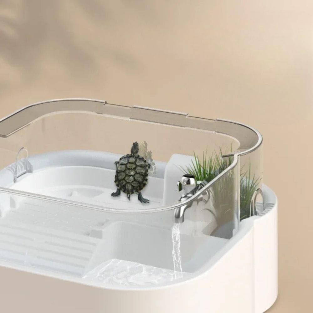 Terrarium Tortue | avec Filtre et Zone de Baignade