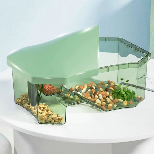 Terrarium Tortue | Enclos Vert avec Zone de Repos