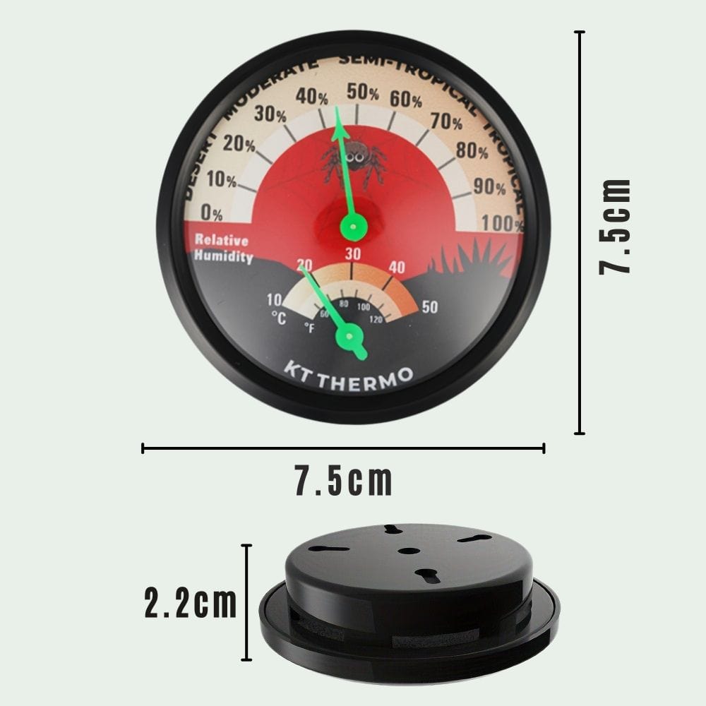 Thermomètre Hygromètre Terrarium | Sans Pile, Motif Araignée