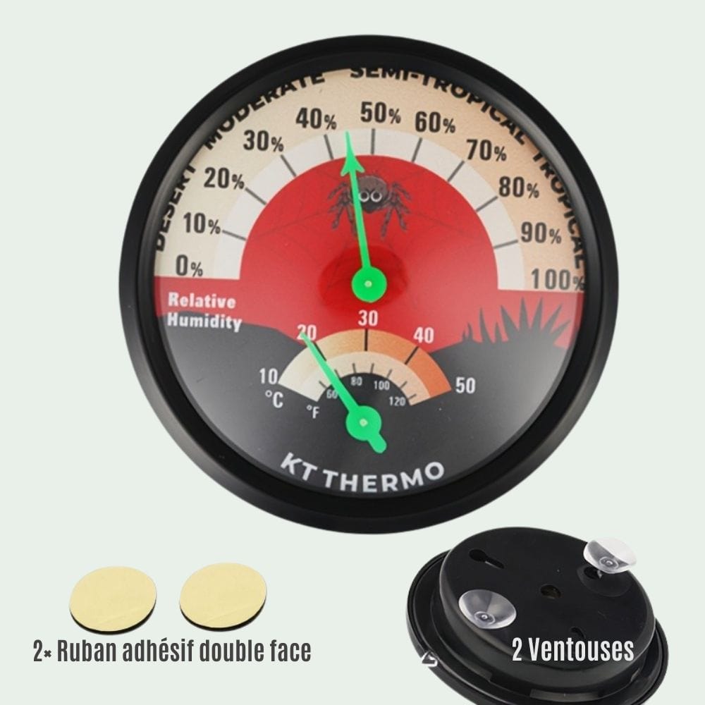 Thermomètre Hygromètre Terrarium | Sans Pile, Motif Araignée