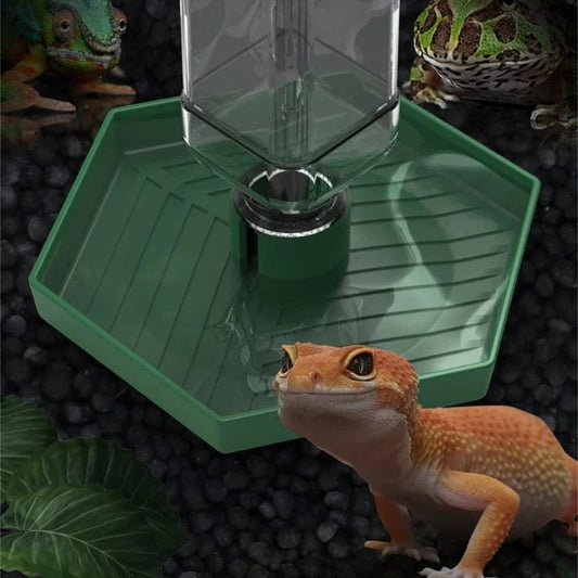 Abreuvoir automatique pour Reptiles, bol à boire, distributeur d'eau pour amphibiens 87HA
