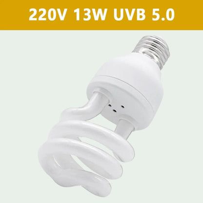 Ampoule E27 13W UVB 5.0 | pour Reptiles et Amphibiens