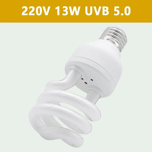 Ampoule E27 13W UVB 5.0 | pour Reptiles et Amphibiens