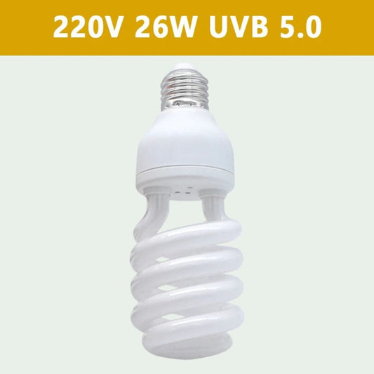 Ampoule E27 26W UVB 5.0 | pour Reptiles et amphibiens