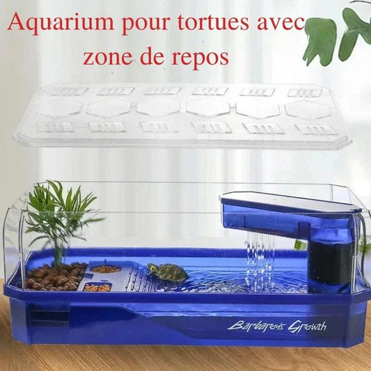 Vert Bac transparent 34×18,5×15 cm | Pour tortues aquatiques