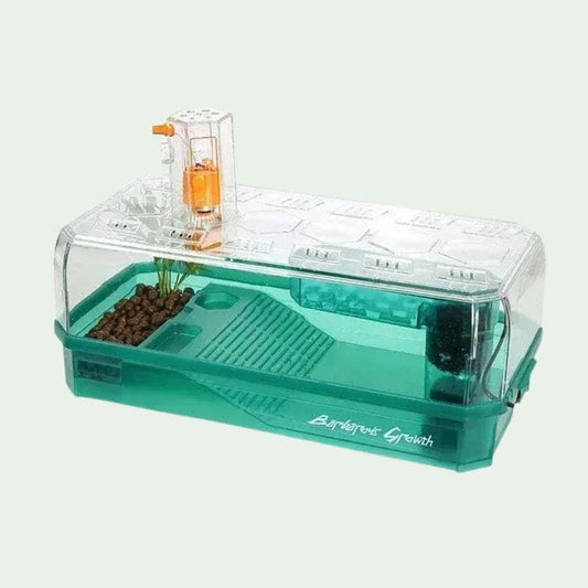 Vert Bac transparent 34×18,5×15 cm | Pour tortues aquatiques