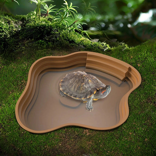 Bassin solide pour tortue, bassin solide pour grenouille, peut également être utilisé comme bol de nourriture et bassin d'eau, adapté aux reptiles et aux amphibiens