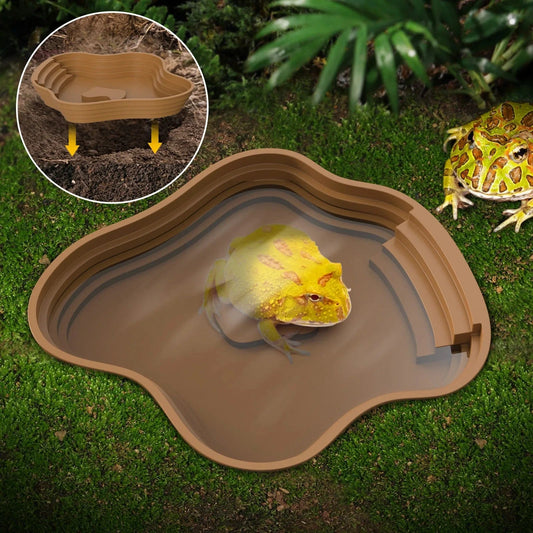 Bassin solide pour tortue, bassin solide pour grenouille, peut également être utilisé comme bol de nourriture et bassin d'eau, adapté aux reptiles et aux amphibiens
