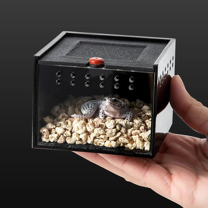 Boîte à araignée pour animaux de compagnie, Reptile rampant, lézard, ver à soie, bébé Scorpion, licorne, coccinelle, insecte, boîte noire en acrylique