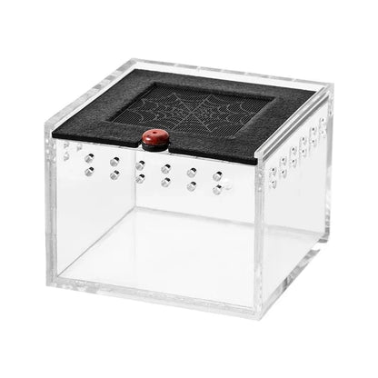 transparent Boîte à araignée pour animaux de compagnie, Reptile rampant, lézard, ver à soie, bébé Scorpion, licorne, coccinelle, insecte, boîte noire en acrylique