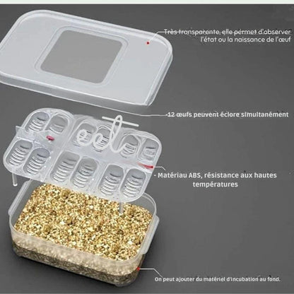 Boîte d’incubation 12 œufs | Pour reptiles et geckos