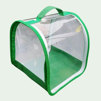 Vert Boîte pliable 20×20×20 cm | Pour araignées sautantes