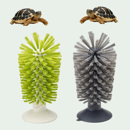 Brosse pour Tortue | Outil Exfoliant Fixation à Ventouse