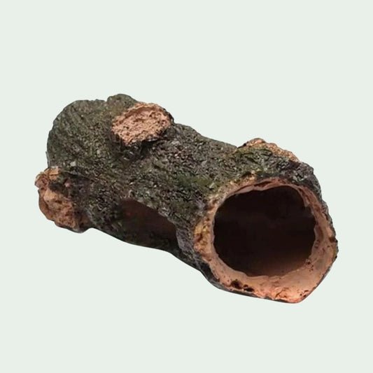Cachette en Résine | pour Petits Reptiles et Insectes