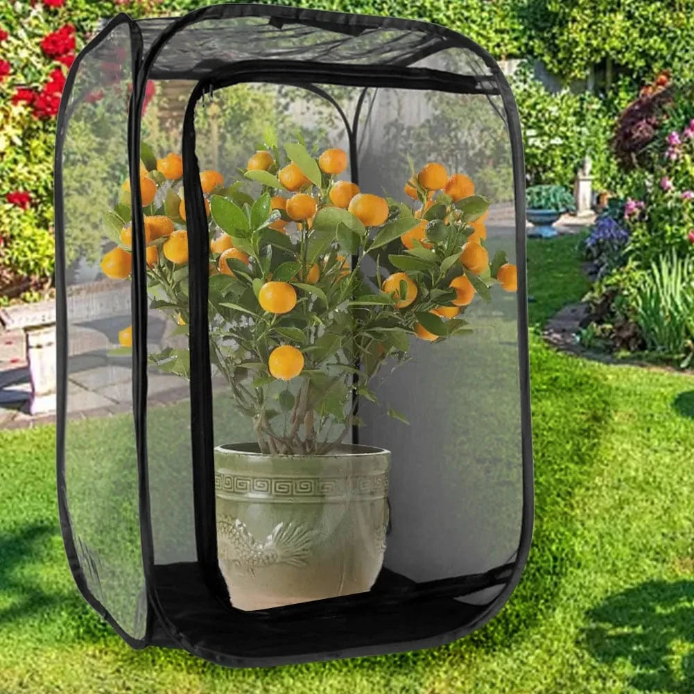 Cage Maille Insectes | Pour Élevage Papillons et Mantes