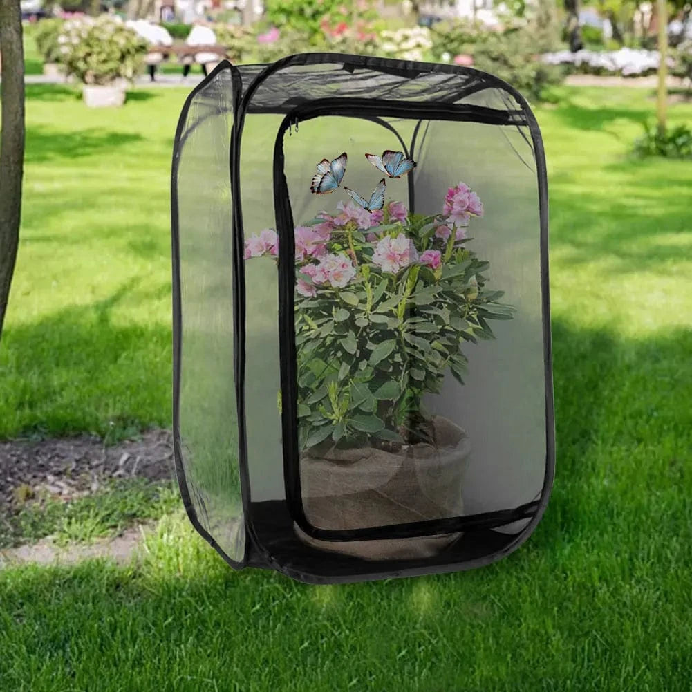 Cage Maille Insectes | Pour Élevage Papillons et Mantes