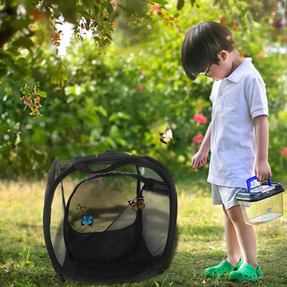 Cage Maille Insectes | Pour Élevage Papillons et Mantes
