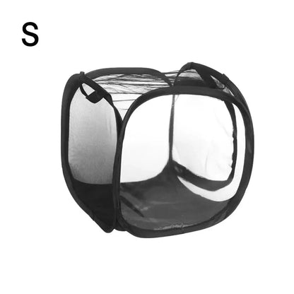S Cage Maille Insectes | Pour Élevage Papillons et Mantes